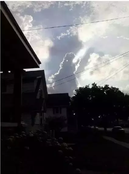 最牛的照片,是你一定會看錯的照片