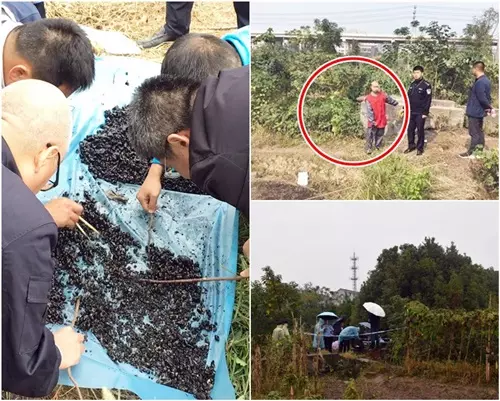 17歲少年捕魚發現,蓄水池白骨女屍! 竟揪出8年情殺真相!