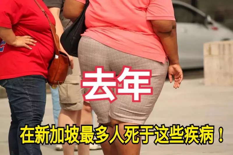 去年,在新加坡最多人死於這些疾病!