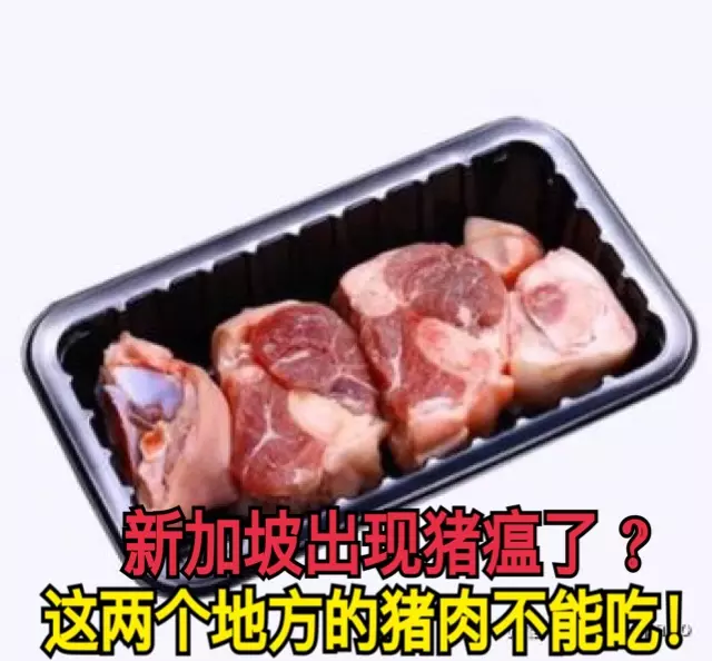 ( 吃豬肉的朋友注意 ) 新加坡出現豬瘟了?這兩個地方的豬肉不能吃!