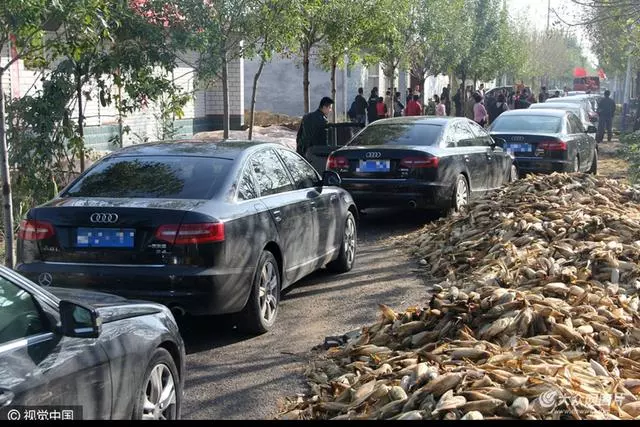 老人收留啞巴,精心照料十年,啞巴開口贈他百萬財產