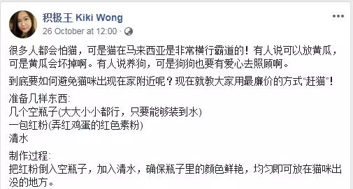 【怕貓的趕快學起來!】大馬網友分享『趕貓大計』,只需3樣東西貓咪不敢再來!
