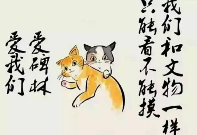 景區的橘貓太兇沒人領養,工作人員貼出告示,網友:好人有好報!