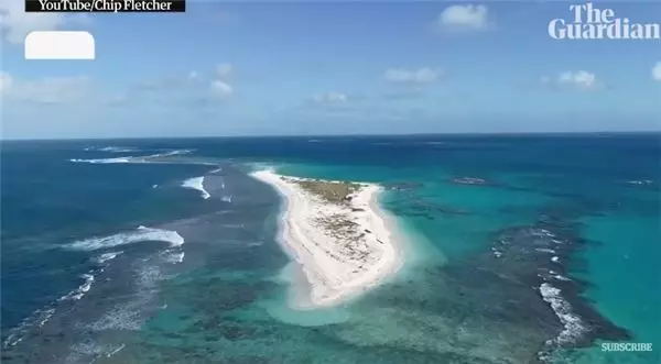 一個颱風沉了千年島嶼!驚人對比照嚇壞學者:一夕間幾千隻生物全消失
