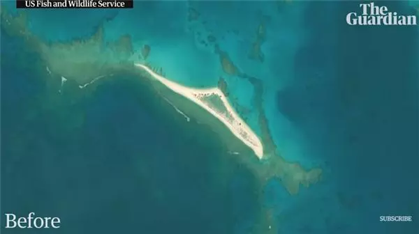 一個颱風沉了千年島嶼!驚人對比照嚇壞學者:一夕間幾千隻生物全消失