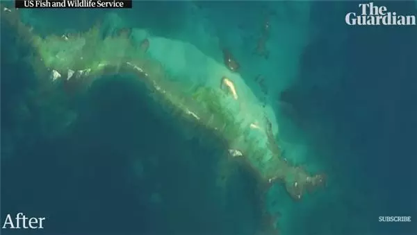 一個颱風沉了千年島嶼!驚人對比照嚇壞學者:一夕間幾千隻生物全消失