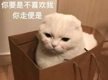 當初說「養貓就分手」！某天卻「撞見他跟小三」抱緊緊　冷淡瞥一眼：喔妳回來了