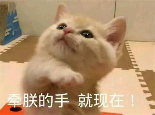 當初說「養貓就分手」！某天卻「撞見他跟小三」抱緊緊　冷淡瞥一眼：喔妳回來了