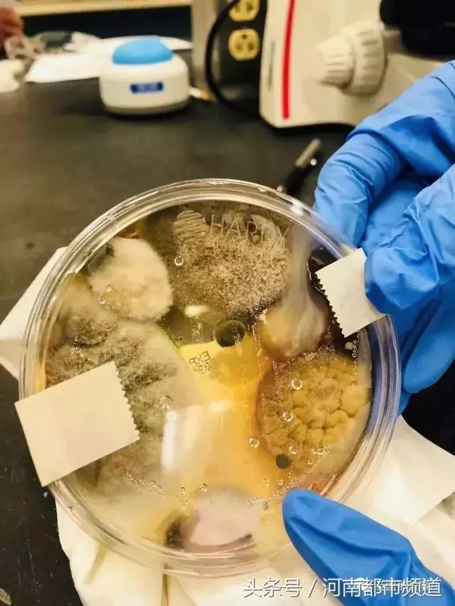 別再用廁所里的烘手機、洗手液了!用完的噁心程度難以想像!