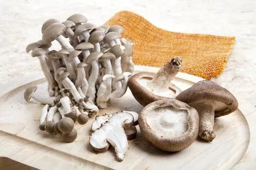 【趕快告訴媽媽！】原來「這10種食物」不能放進微波爐！小心吃了中毒！