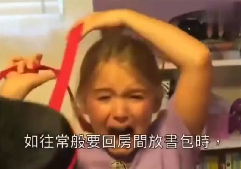 小主人看到貓咪大哭!忠犬丟掉玩玩具去察看,有愛!網:我也跟著哭了!