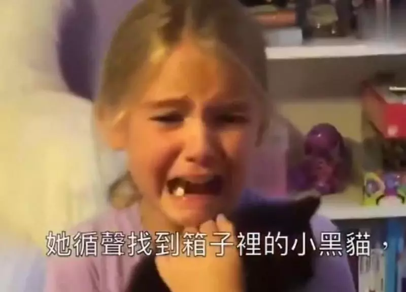 小主人看到貓咪大哭!忠犬丟掉玩玩具去察看,有愛!網:我也跟著哭了!