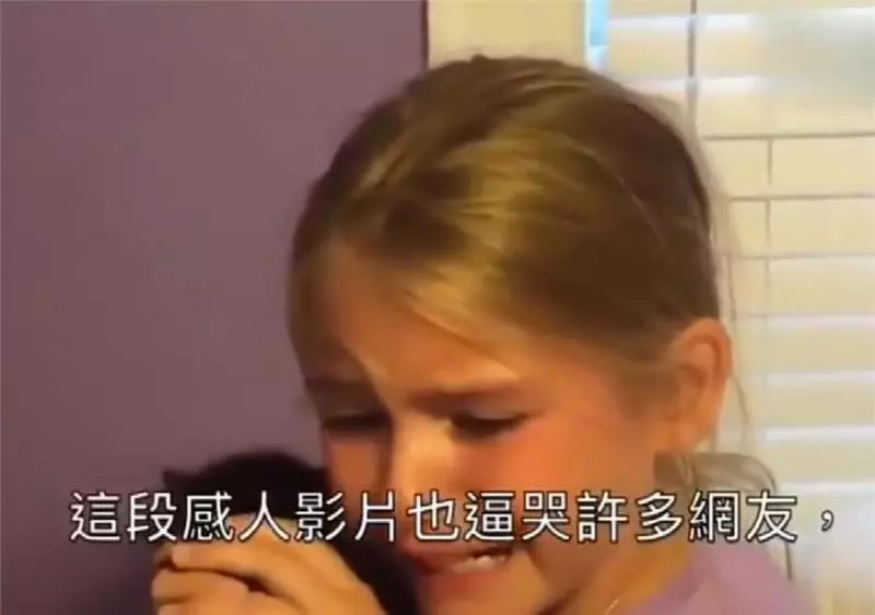 小主人看到貓咪大哭!忠犬丟掉玩玩具去察看,有愛!網:我也跟著哭了!