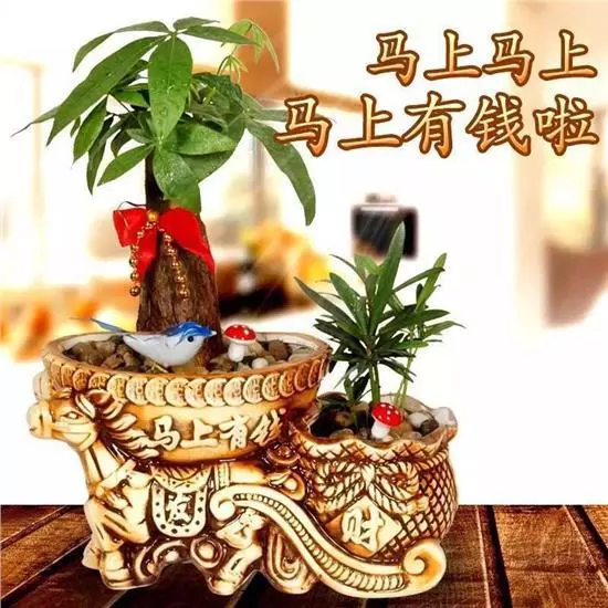 11月運勢大開,錢財進家門,3生肖財富堆成山