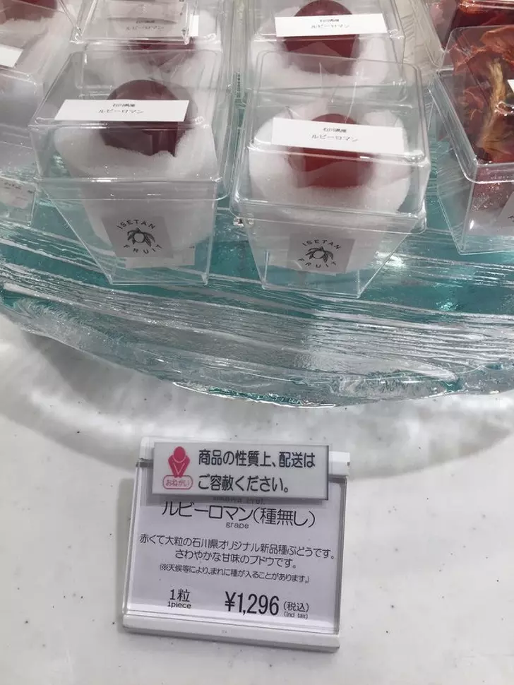 巨大的馬肺視覺超衝擊 23張「幫大家解開好奇心」的揭秘照片