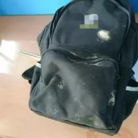 桃園新景點!桃林鐵路活化優先段完工