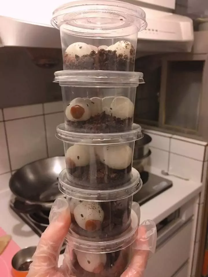 做了紅豆麻糬卻沒人賞臉　她PO照讓網吐一遍：這我不行…