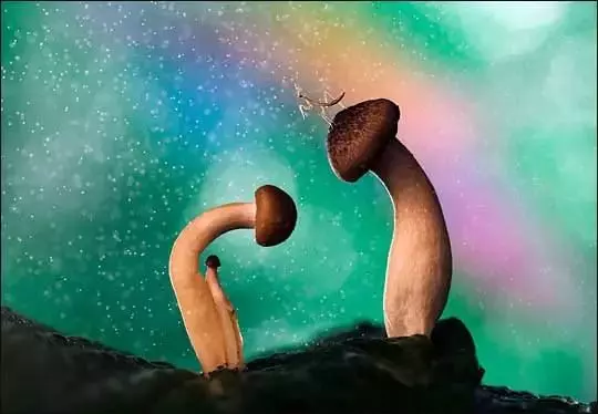 照片要這樣拍攝才能夠被稱為大師級的作品!