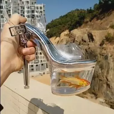 高跟鞋裡養魚每走一步都被晃得暈頭轉向,路人考慮下魚的感受