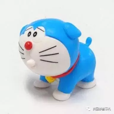 撿到小奶貓，獸醫卻說是狗，而崽子長大後才發現：全都不是啊！