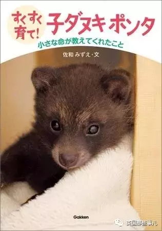 撿到小奶貓，獸醫卻說是狗，而崽子長大後才發現：全都不是啊！
