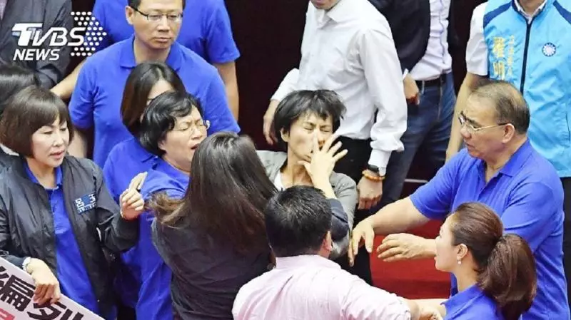 邱議瑩引眾怒!網點名美女戰神 求「降龍十巴掌」出江湖