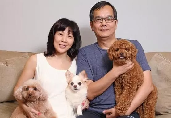 泰迪被打破頭,扔收容所,被收養後,它的表現讓新主人感到揪心