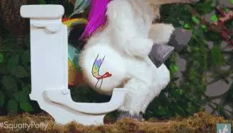 中國式蹲坑席捲全美!我們蹲個廁所,怎麼就蹲成了上億的生意?