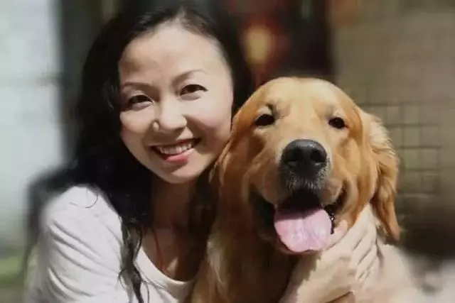鏟屎官高價送泰迪上課,探望時狗狗正在午休,意外發現愛犬在害怕