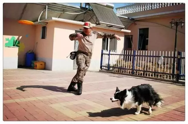 鏟屎官高價送泰迪上課,探望時狗狗正在午休,意外發現愛犬在害怕