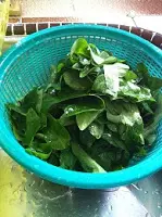 河婆擂茶