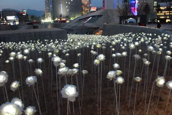 第一次去Korea【自由行】一定要去的20個地方!自由行真的比跟團好玩!