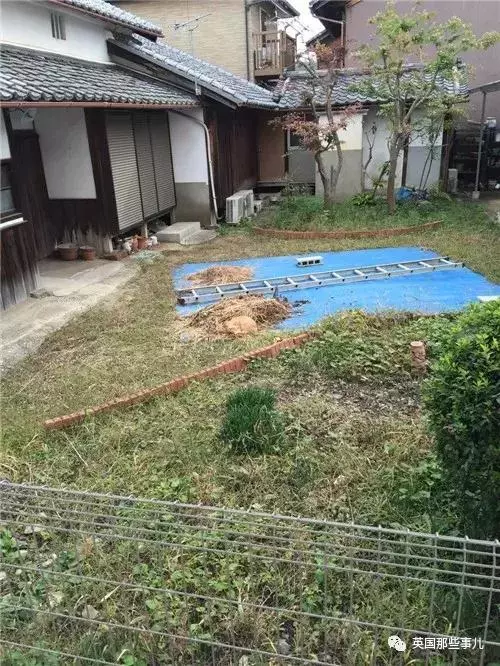 身為貓奴,不怕髒不怕苦,就怕主子學會了隱身術!