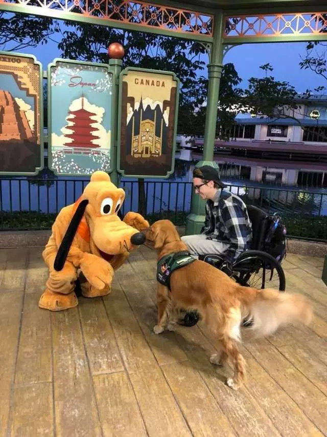 服務犬金金看到最愛的布魯托「變好大」 秒衝過去互動把網友萌翻