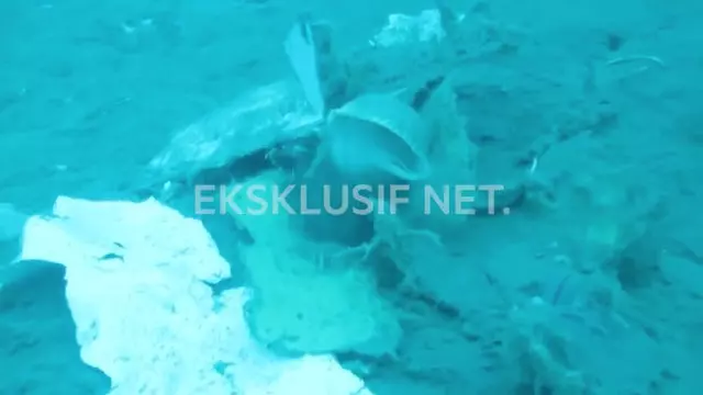 【印尼獅航墜毀客機】 黑盒子已經找到了!潛水員:罹難者遺體在飛機殘骸內
