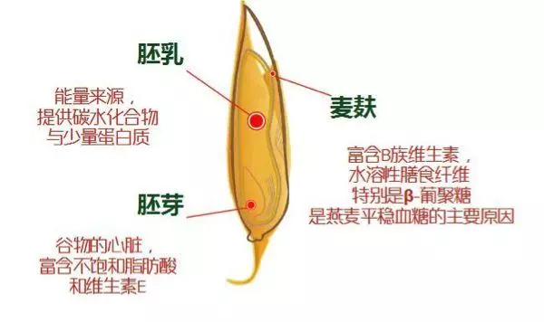 全麥麵包,您選對了嗎