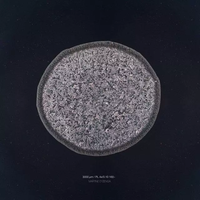 你知道眼淚長什麼樣嗎?攝影師通過實驗告訴你每顆眼淚都是特別的