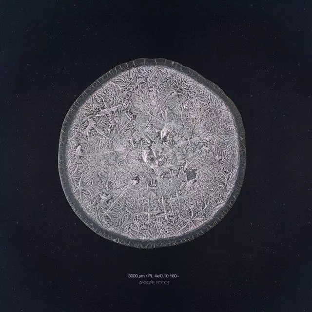 你知道眼淚長什麼樣嗎?攝影師通過實驗告訴你每顆眼淚都是特別的