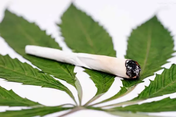大馬成為亞洲第一大麻合法化國家 原因竟然因為一個囚犯?!