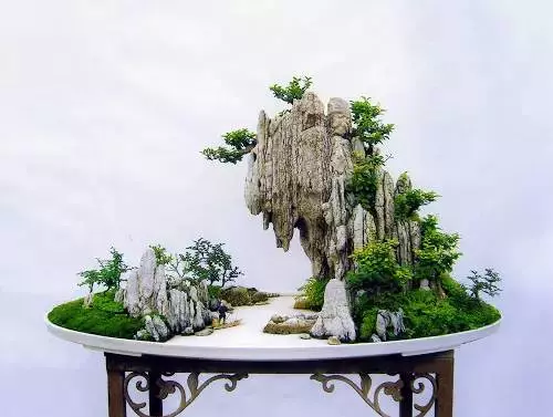 玩盆景請注意賓主分明