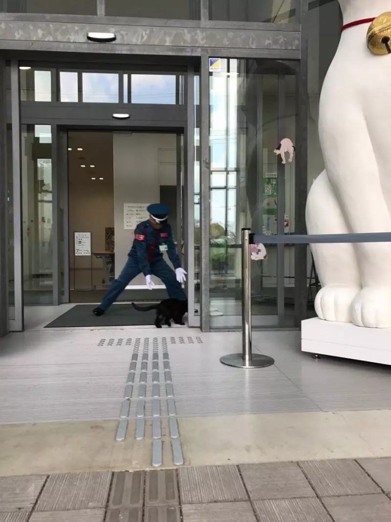 橘貓「硬闖美術館」被攔下 幾天後「變裝出現」警衛笑:別以為我認不出你喔~