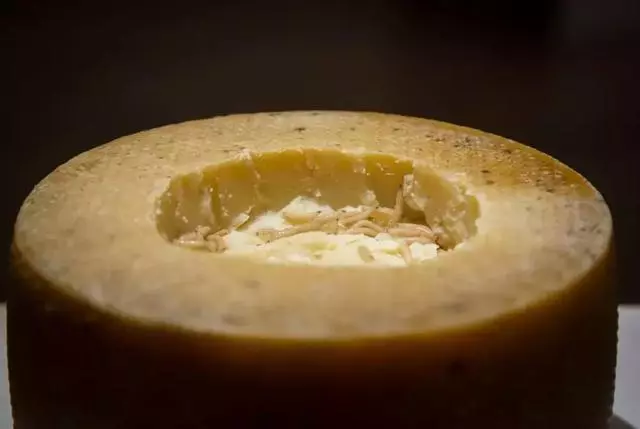 噁心食物博物館開館!80種令人不適的食物讓人印象很深刻……