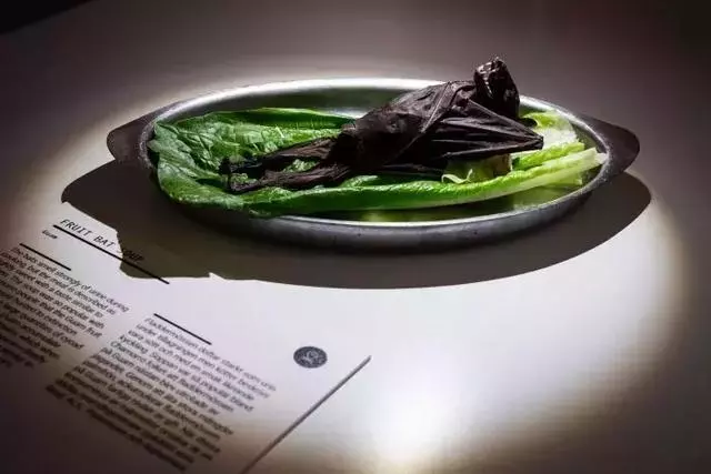 噁心食物博物館開館!80種令人不適的食物讓人印象很深刻……