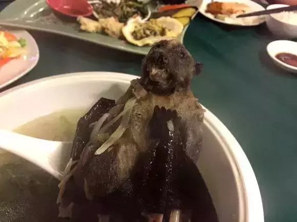 噁心食物博物館開館!80種令人不適的食物讓人印象很深刻……