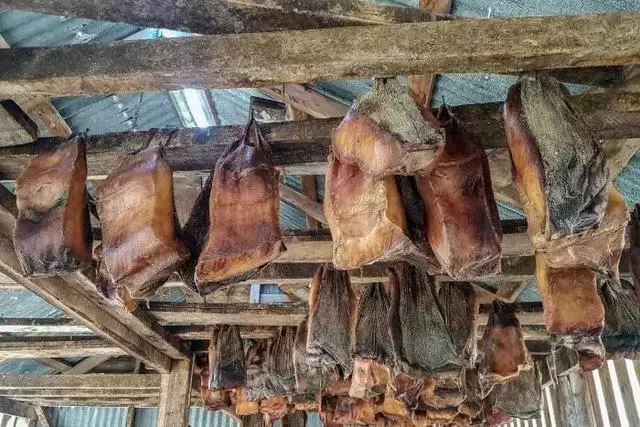 噁心食物博物館開館!80種令人不適的食物讓人印象很深刻……