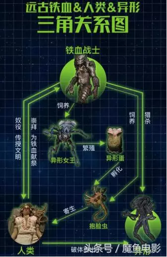 這些致敬梗你都不知道?根本沒資格說看過《鐵血戰士》