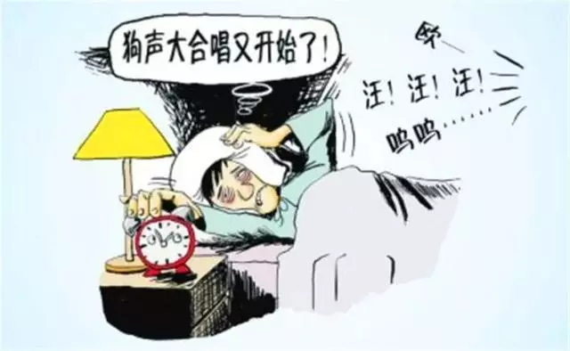 狗狗半夜吠叫被居民投訴,鏟屎官學會6招,狗狗半夜不吵鬧