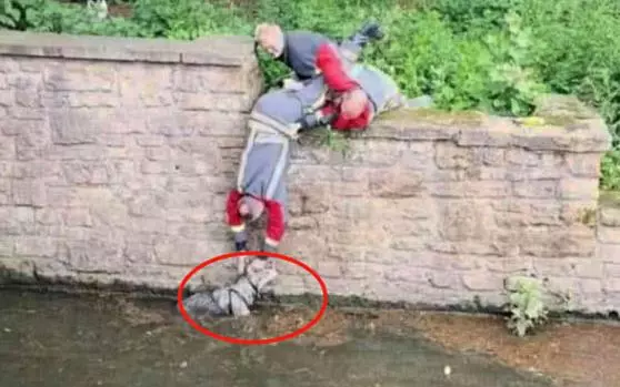 3個大男人趴河岸邊,不是釣魚,而是釣哈士奇?