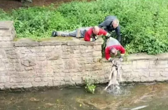 3個大男人趴河岸邊,不是釣魚,而是釣哈士奇?