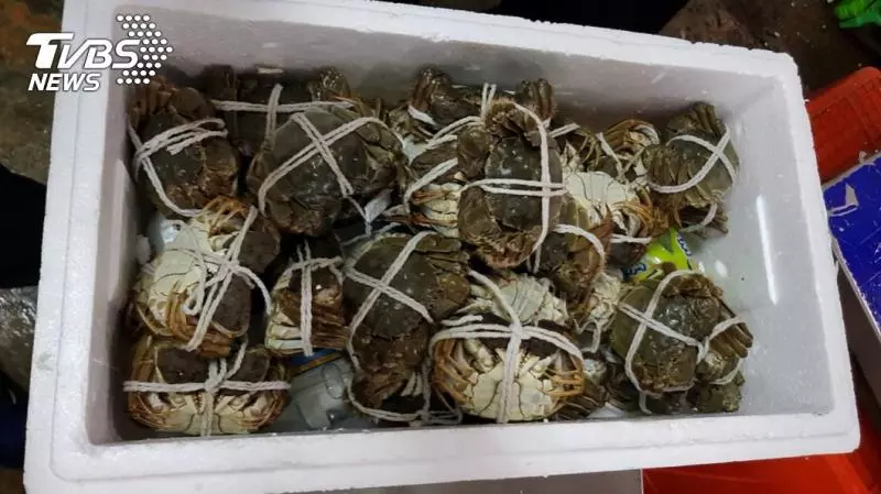 快訊/進口大閘蟹戴奧辛超標 食藥署09:30說明